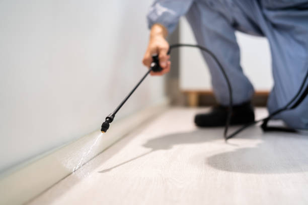 Licensed Cockroach Control service in Chase, PA - Nex Pest Control