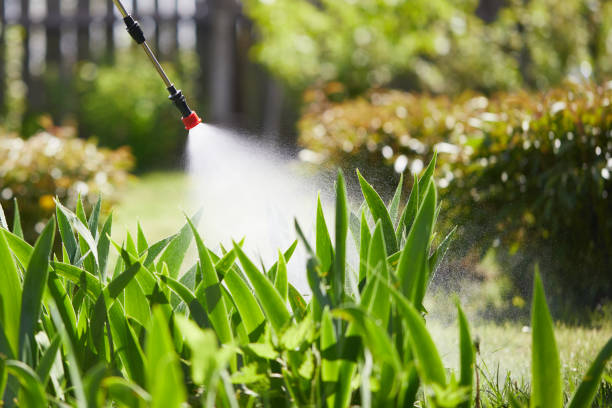 24/7 Emergency Cockroach Control experts in Chase, PA