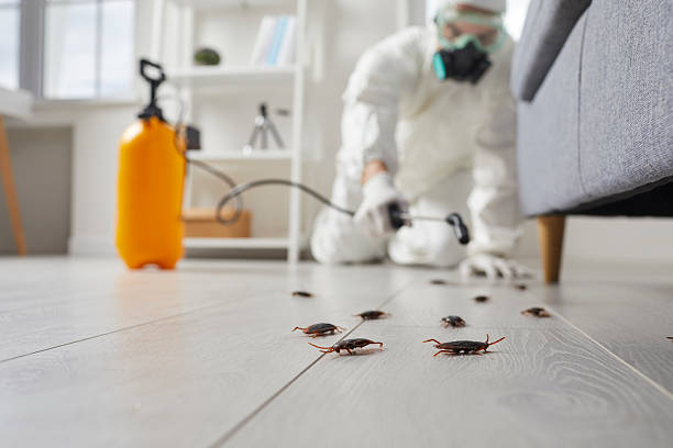 Affordable Cockroach Control solutions in Chase, PA