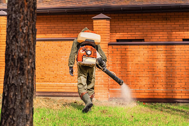 Top rated local Cockroach Control specialists in Chase, PA